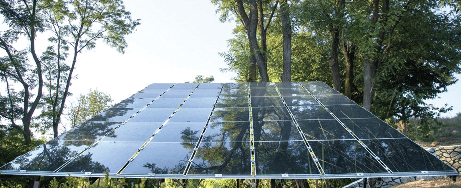 Rows of solar panels at a forest setting.