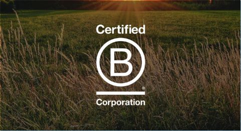 B Corporation certified logo in a green field background.