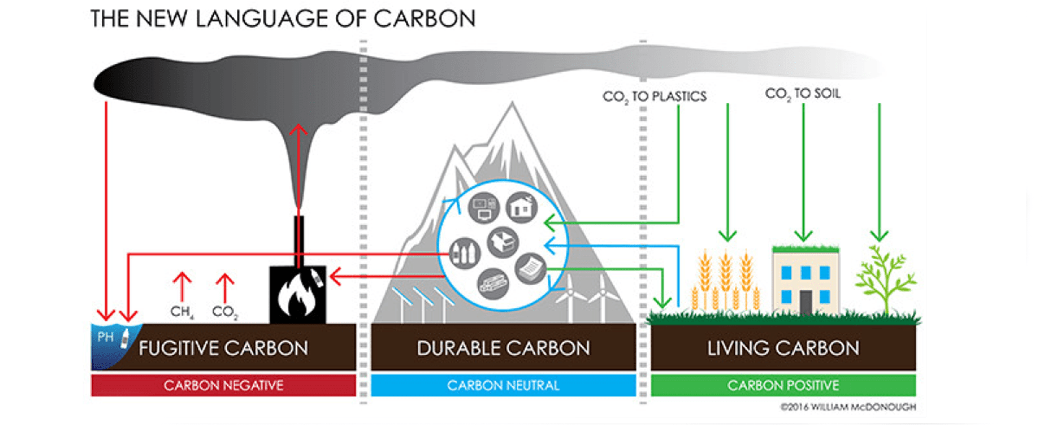 The new language of carbon flow chart.