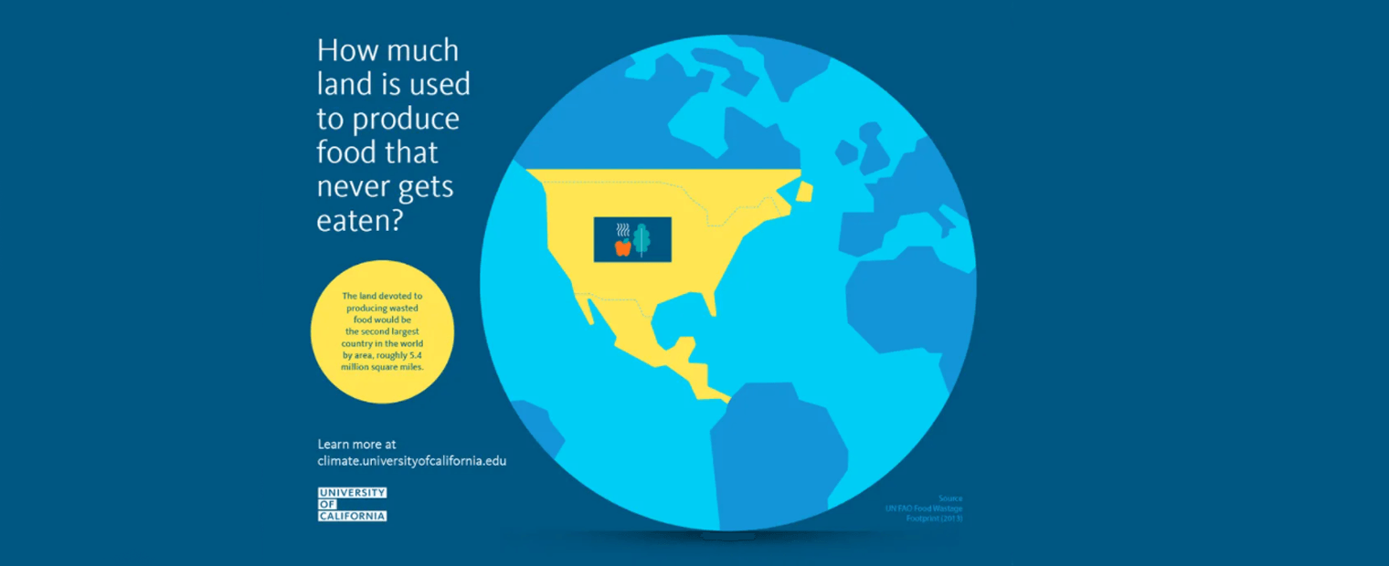 How much is used to produce food that nevers gets eaten cover.