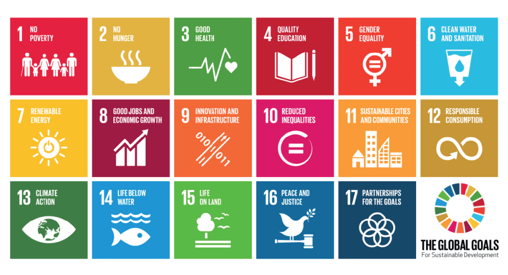What are the Sustainable Development Goals.