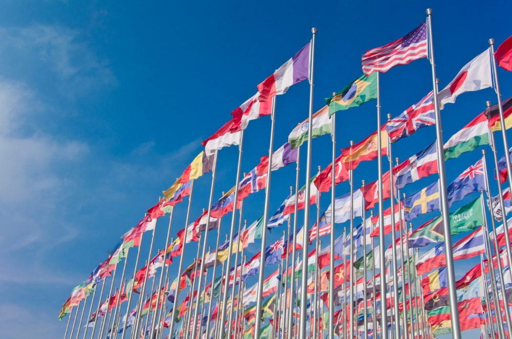 COP27 country flags.