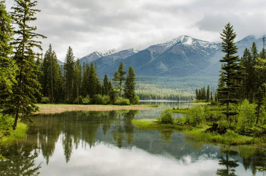 Mountain landscape.