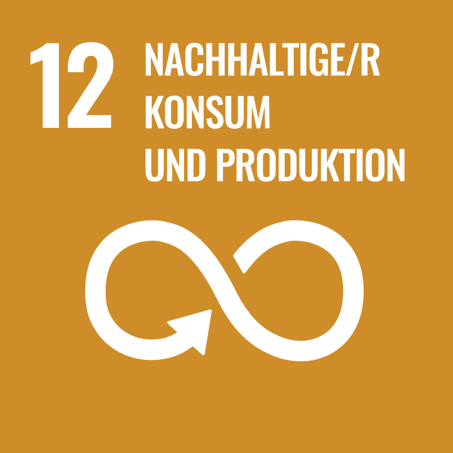 UN_SustainableDevGoals-12 1 (1)