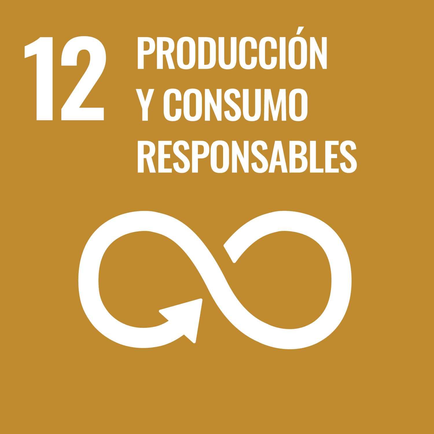 UN_SustainableDevGoals-12 1 (1)