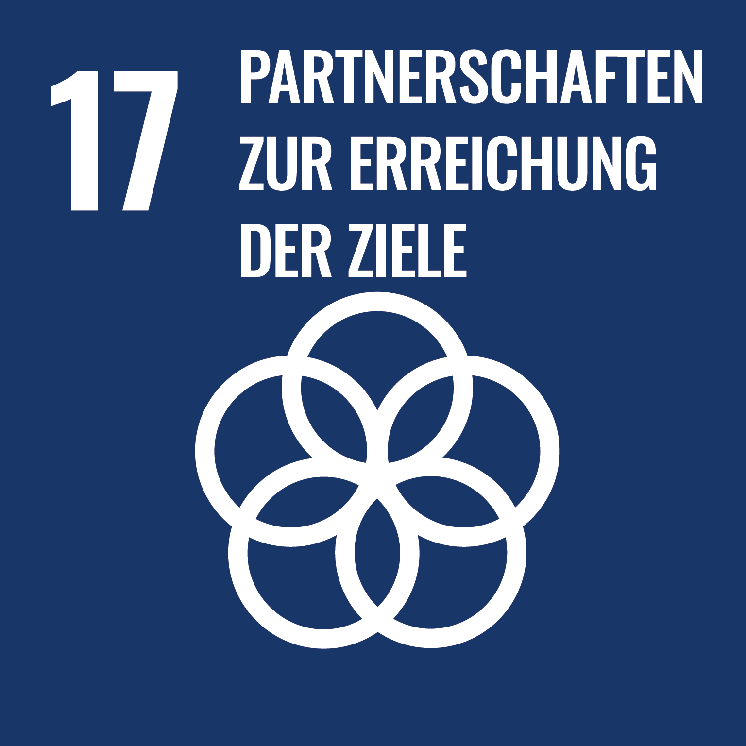 UN_SustainableDevGoals-17 1 (1)