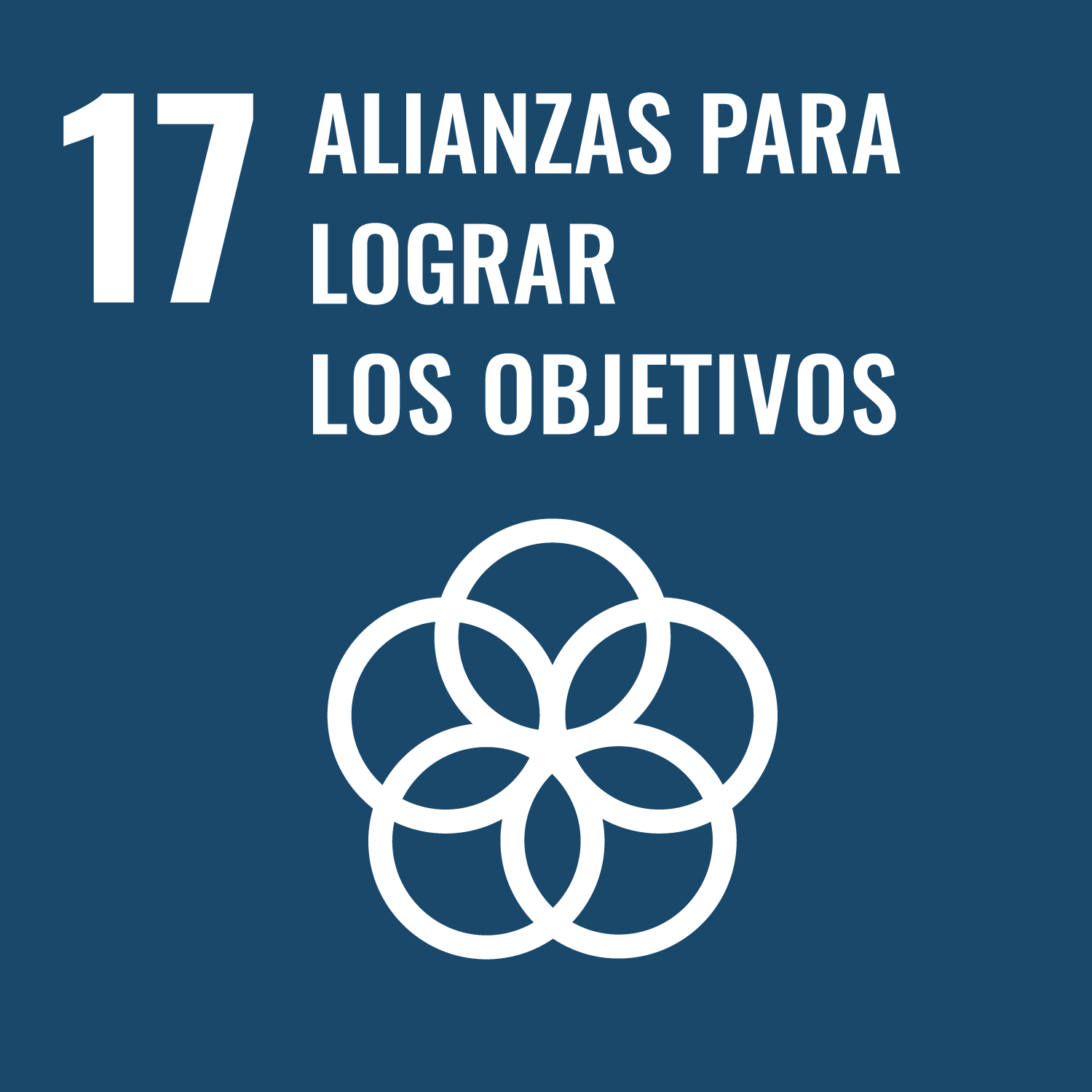 UN_SustainableDevGoals-17 1 (1)