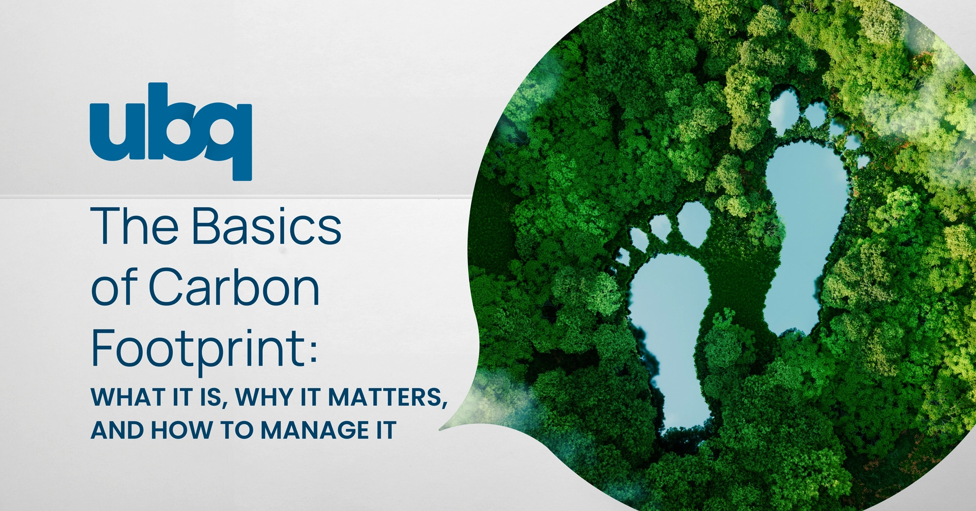 A hero banner image reading 'The Basics of Carbon Footprint'. A blue footprint icon is shown over a top-down view of a lush green forest.